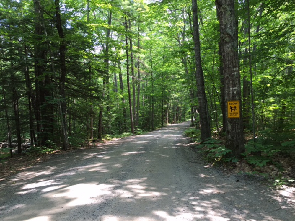 A proposed summer camp for foster children on about 68 acres down the private Beaver Brook Estates road on the shore of Long Pond in Rome is getting opposition from neighbors. The land also has frontage on Beaver Brook, which runs next to this road.