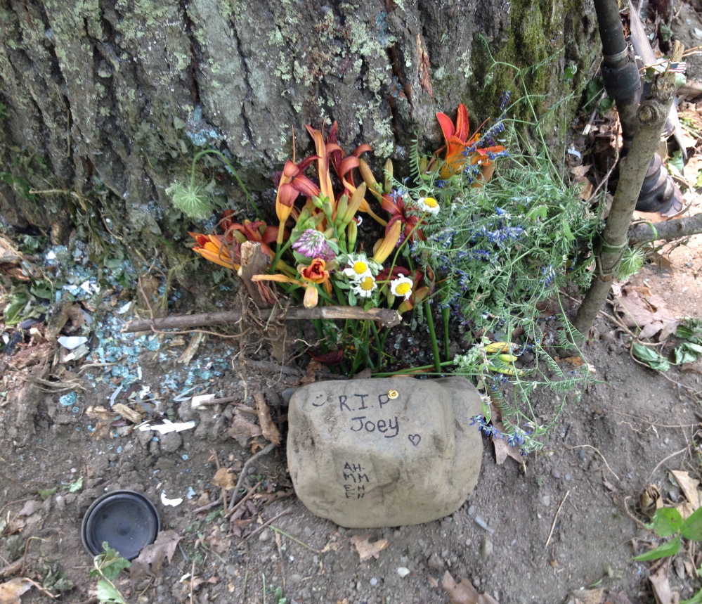 A memorial to Joseph Knox is seen Monday amid glass and car parts at the bottom of a tree following a crash in Vassalboro Saturday that killed Knox and Ronald Willey. Writing on a rock says “RIP Joey.”