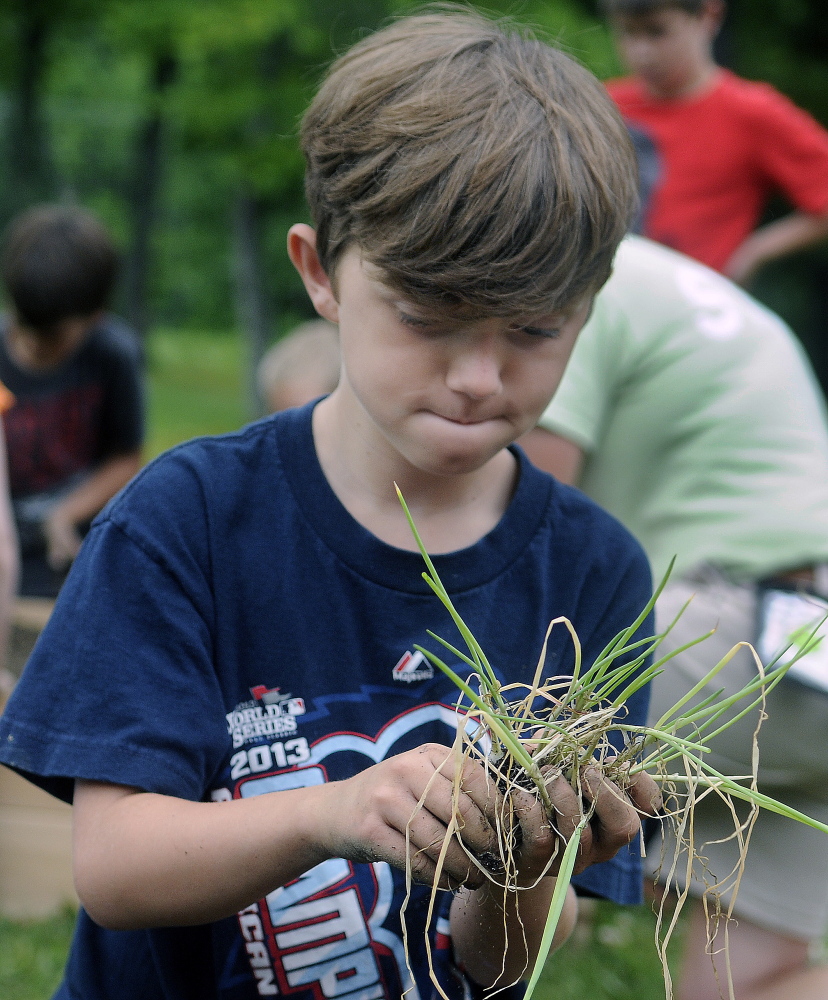 Michael Bilodeau, 9, plants onions on Monday in the new garden beds erected at the Buker Community Center in Augusta.