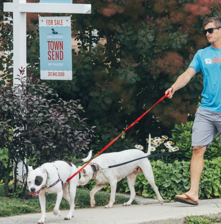 Ryan Dunstan walks his dogs in Willard Square in South Portland on Tuesday. Maine home sales surged in June compared with a year earlier.