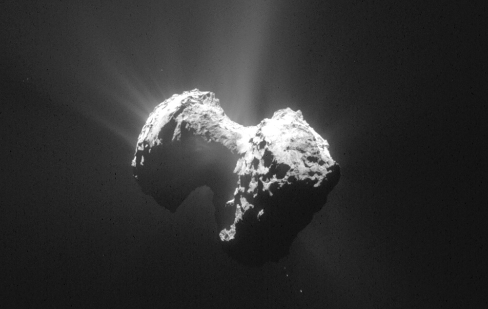 Data from the space probe on comet 67P/Churyumov-Gerasimenko supports the theory that comets can be cosmic labs where some elements of life are assembled.