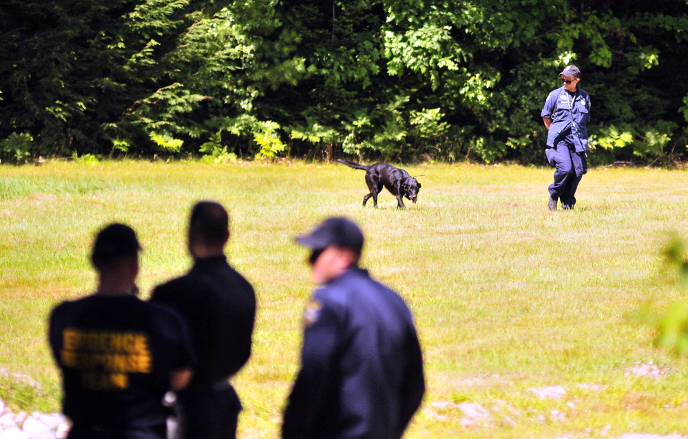 Investigators and a dog continue the search on Friday in Canton for Kimberly Moreau, who went missing in May of 1986.