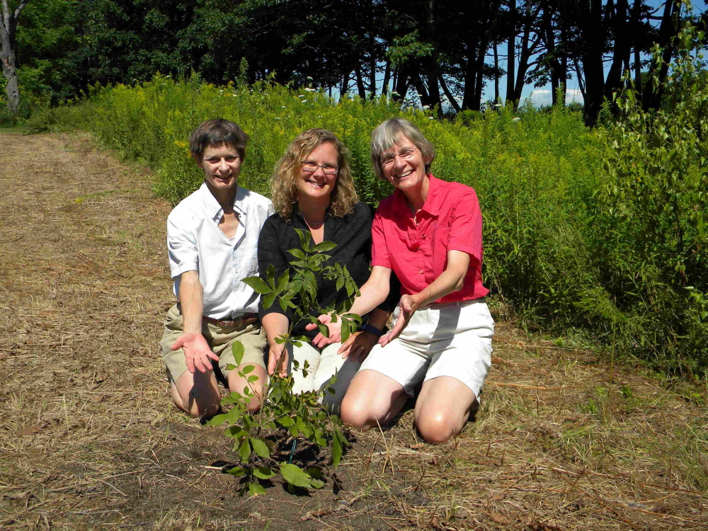 Contributed photoß∑ From left, are Dorcas Miller, Andria Lani and Cheryl Ring seated behind one of two smooth bark hickory trees the 2015 Master Naturalist class gifted to the Viles Arboretum.