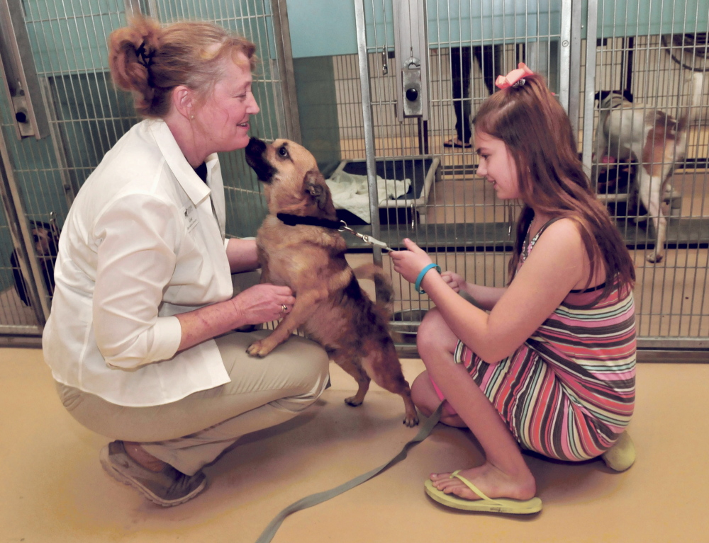 Central Maine &lsquo;likes&rsquo; animal shelter Facebook pages