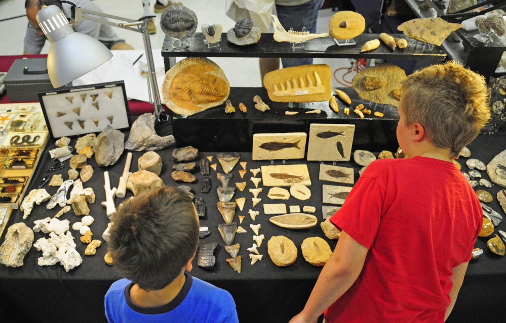 Staff photo by Joe Phelan
Brothers Seth Nichols, 6, left, and Nolan Nichols, 10, both of Gardiner, look at sharks’ teeth and fossils Saturday during the Rockhounders 26th Annual Gem and Mineral Show at the Augusta State Armory.