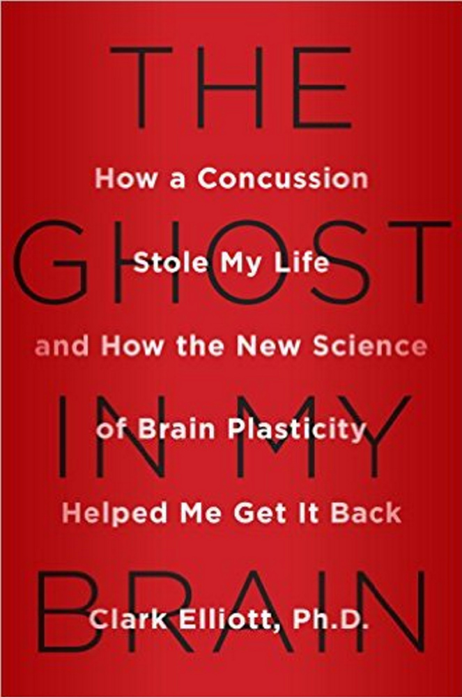 “The Ghost in My Brain,” a book by a DePaul University professor about recovery from a brain injury has given Skowhegan lawyer Dale Thistle hope that he can recover from a similar injury. Thistle’s right to practice law was suspended by the Maine Supreme Judicial Court after he suffered a brain injury in a car accident.