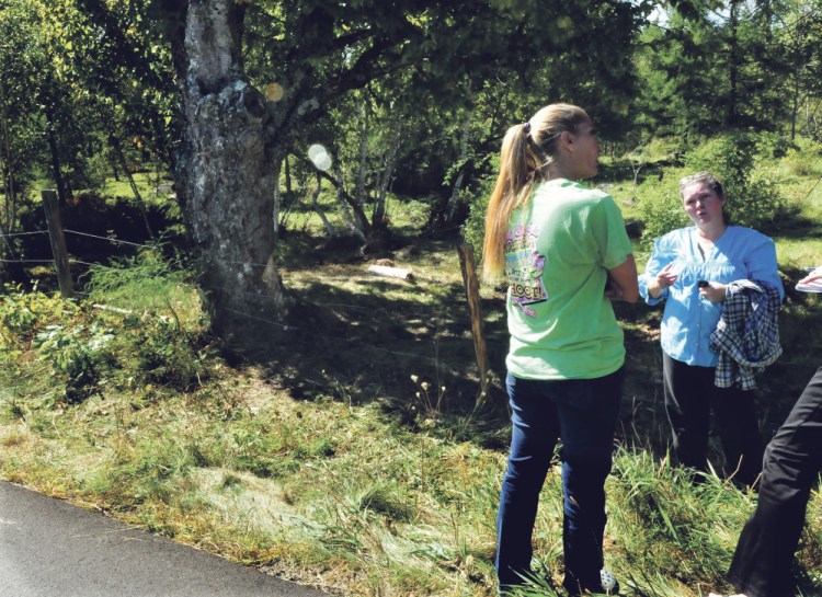 Jessica Robinson, left, and Teanda Smith talk Monday after the car accident on Raymond Road in Palmyra Sunday that killed driver Aimee Lasco, who hit the tree at left. Lasco’s two daughters and a friend escaped with minor injuries. Smith is the friend’s grandmother.