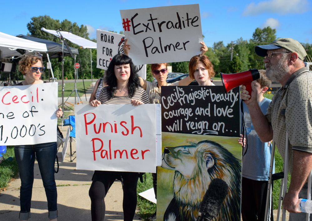 Demonstrators gather outside the office of Walter Palmer, who returned to his dental practice on Tuesday, in Bloomington, Minn. “We want him to know that we’re not going to forget,” said one, referring to Palmer’s killing of Cecil, a treasured lion in Zimbabwe.