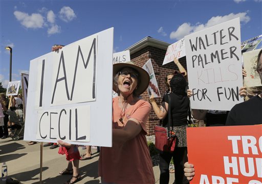 Protesters gather outside WalterPalmer's dental office July 27 in Bloomington, Minn. Palmer killed Cecil, a black-maned lion, just outside Hwange National Park in Zimbabwe. Palmer participated in an interview Sunday in which he disputed some accounts of the hunt, expressed agitation at the animosity directed at those close to him and said he would be back at work within days.