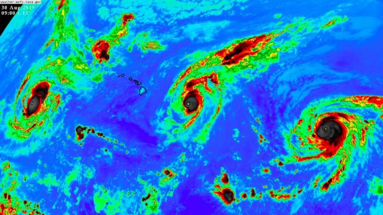 For a time Saturday night, three Category 4 hurricanes churned in the central and eastern Pacific, the first time such an event had been recorded. From left: Kilo, Ignacio and Jimena. NASA image