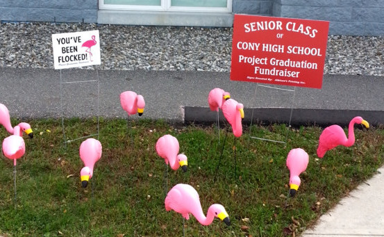 Flock a neighbor, friend or business and help Cony Project Graduation.
