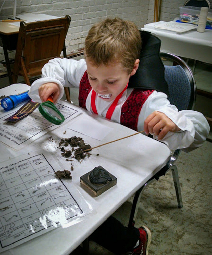A young Dracula dissects an owl pellet.