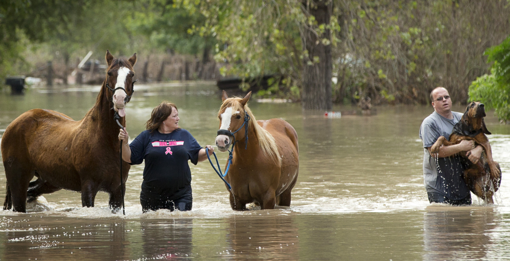 Rhonda Burnett walks her horses through flood waters while Lee Hays helps a neighbor’s dog in Garfield, Texas, Saturday as storms continue to pummel the state.