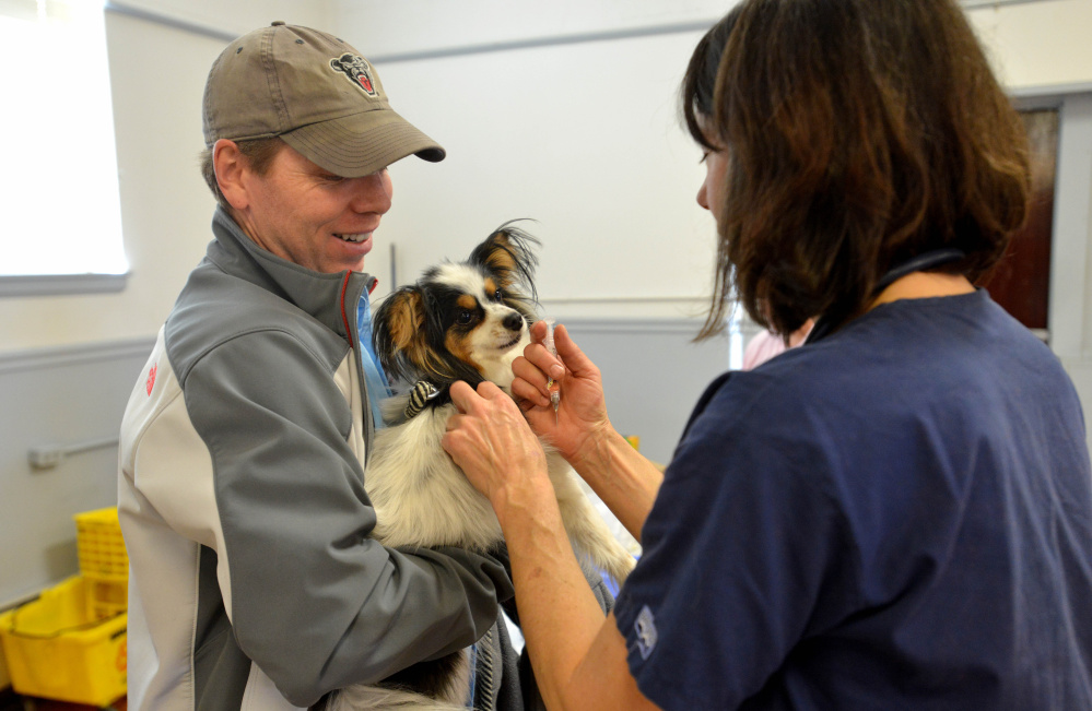 Jason Bernier holds his dog, Morrisson, as Dr. Elizabeth Stone gives him a shot during a free wellness clinic at the American Legion Hall on College Avenue in Waterville for low-income residents on Saturday