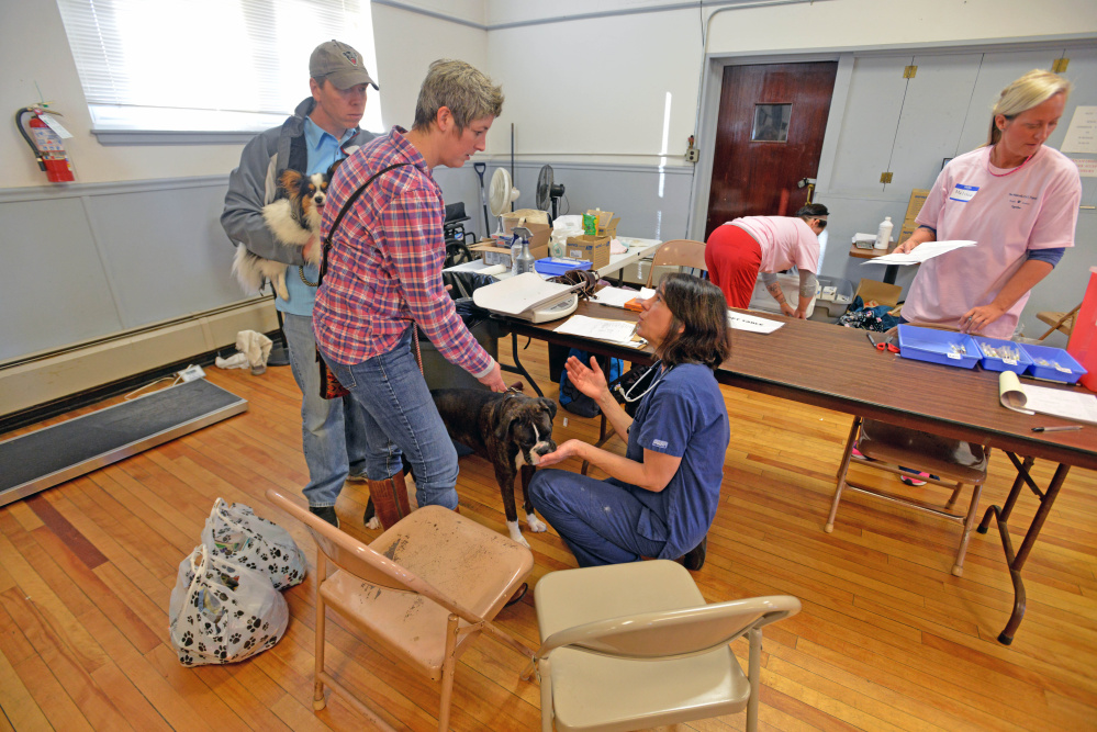 Dr. Elizabeth Stone talks to Melissia Bernier, owner of Cassidy, a young boxer, during a free pet wellness clinic for low-income residents at the American Legion Hall in Waterville on Saturday.