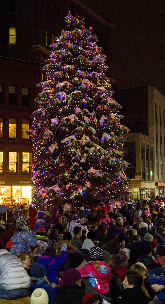 Portland's holiday tree is lit up in Monument Square in this Nov. 28, 2014, photo.