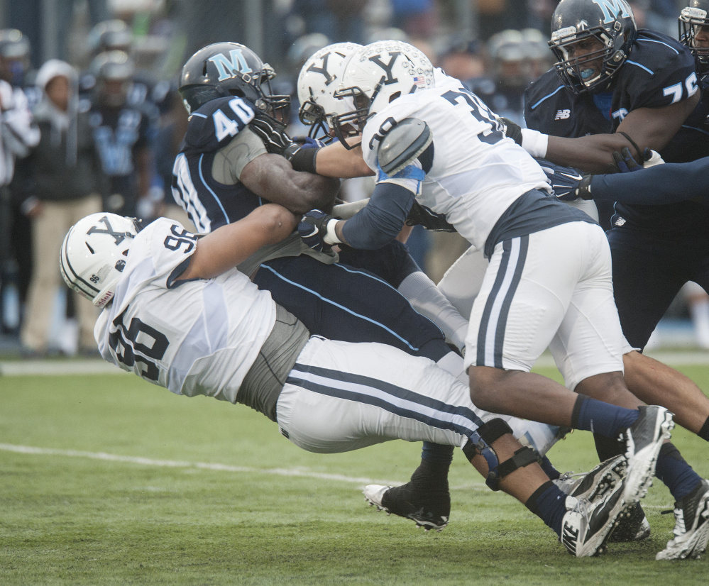 Nigel Beckford of the University of Maine is hauled down by Copache Tyler, left, and Darius Manora of Yale during the first half of Yale’s 21-10 victory at Orono. Yale is 8-0-1 all-time against the Black Bears.