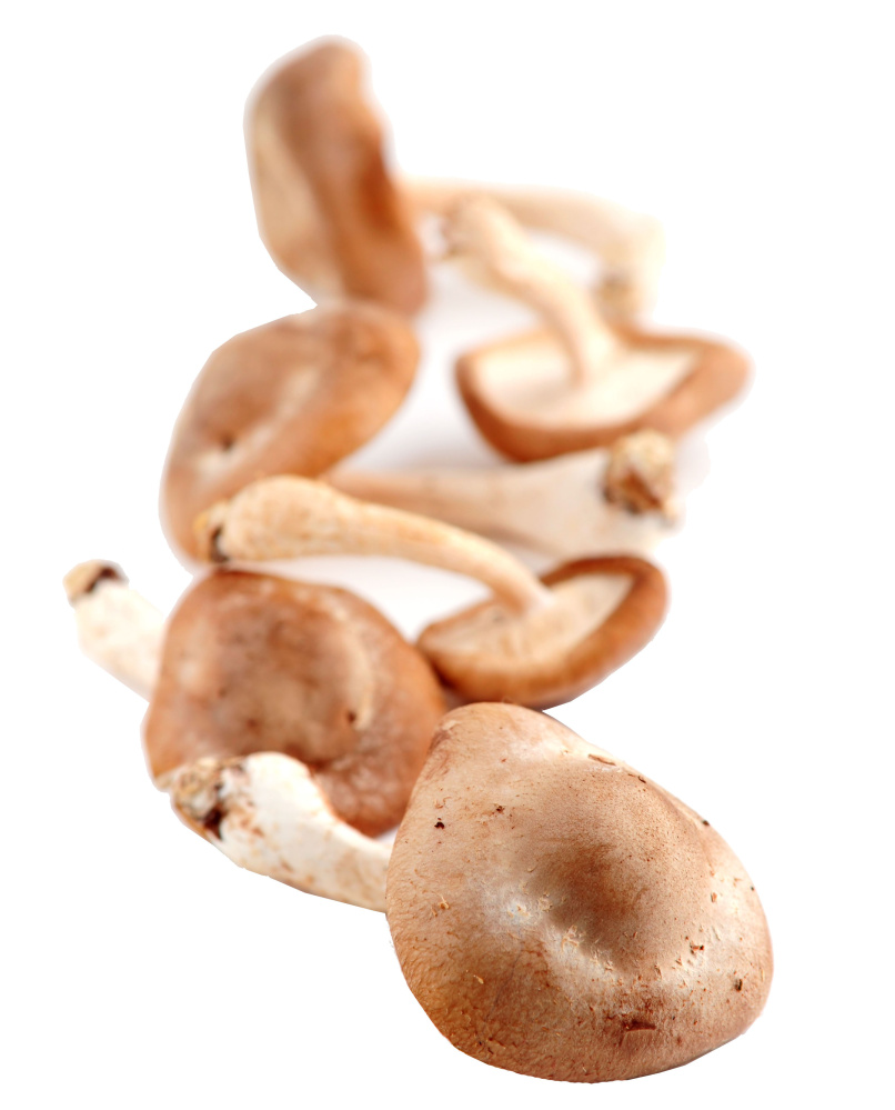 Shiitake, or other earthy mushrooms, add depth of flavor and deliciousness.