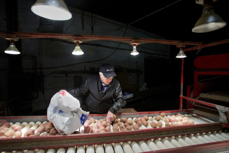 Farmer Stew Smith sifts through potatoes at his Newport potato processing plant. Maine’s food and beverage industry has “clear growth potential” that would benefit from a coordinated plan of action, a new report says.