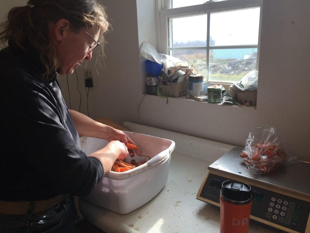 Deborah Chadbourne cleans and bags carrots to make them market ready.