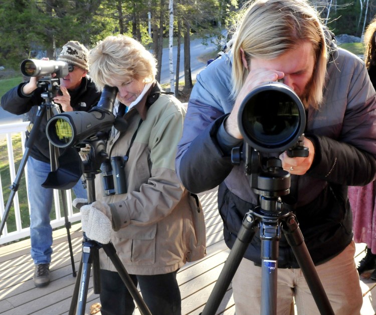 These avid bird-watchers train their scopes on ducks and waterfowl on North Pond in Rome on Sunday. From left are Louis Bevier, Margaret Viens and Logan Parker.