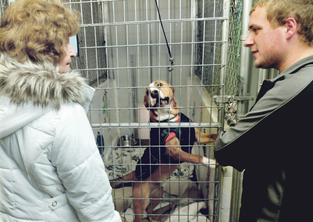 Xenia Elin speaks with Somerset Humane Society employee Kyle Woodbury about the dog she is considering adopting at the Skowhegan shelter on Tuesday.