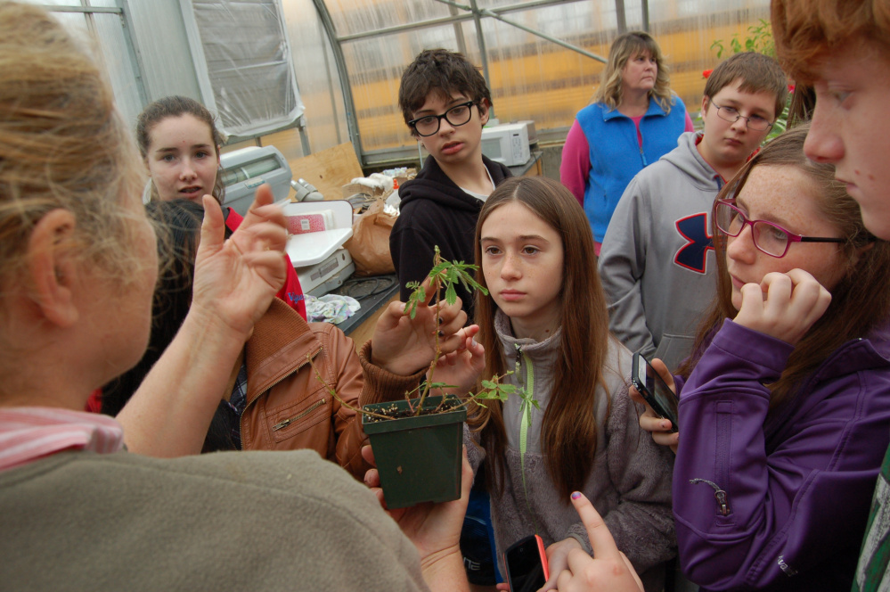 Mallaney Bollenbacher, Good Will-Hinckley Greenhouse manager, foreground, left, talks with Kaitlyn Vigue, Julian Landry, Abby Dorval, Ben Lamontagne, Airel Delong and Kody King. Patty Brown is in the background.