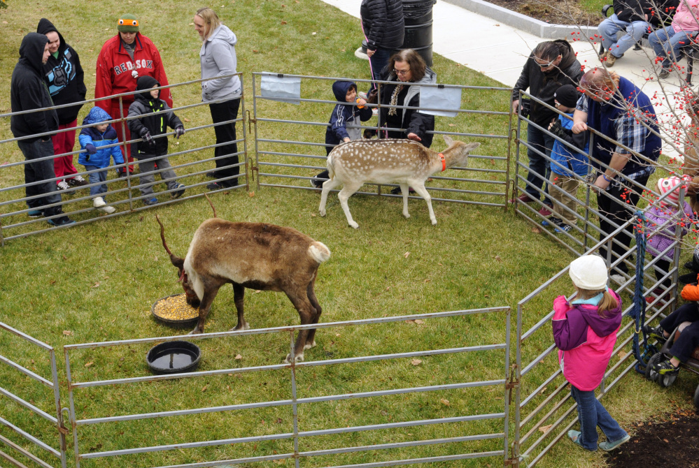 People watch and pet a pair of reindeer Saturday in Market Square during The Riverfront Holiday event in downtown Augusta.