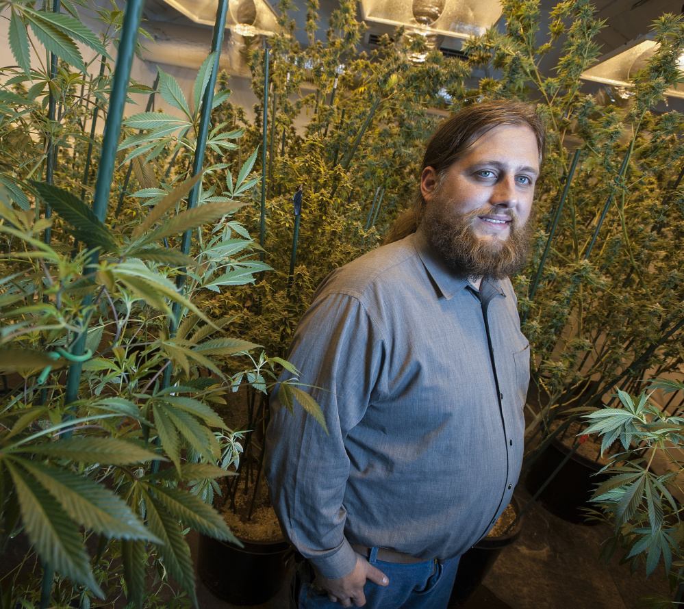 Paul McCarrier, seen with his medical marijuana growing operation, will speak on medical marijuana law at the Portland Cannabis Convention this weekend.