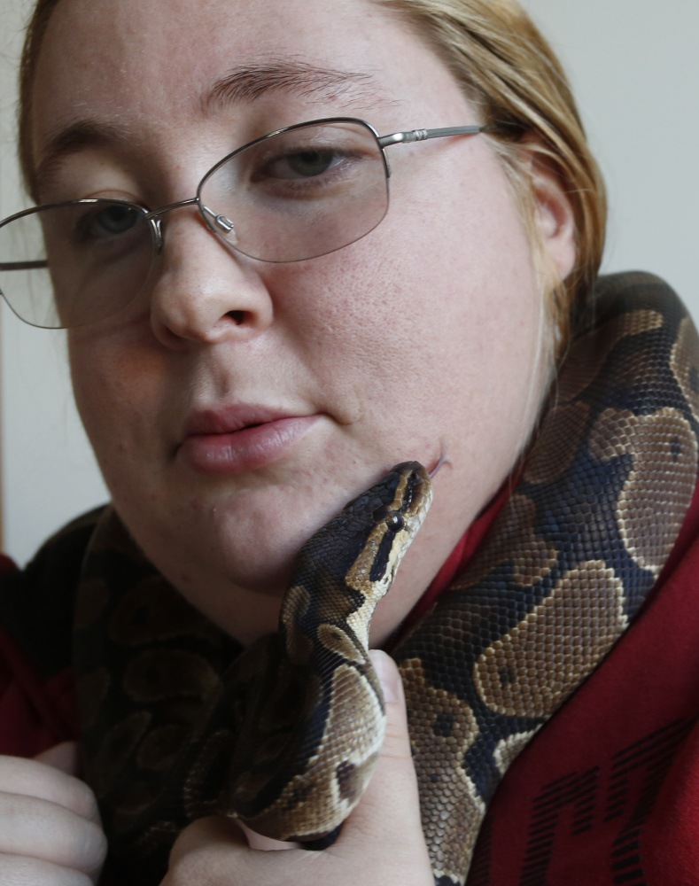 Karrie Herring holds Chuck, a normal ball python, one of many snakes she keeps at her home in Scarborough. Maine wardens confiscated four of her snakes last summer when she lived in an apartment in Biddeford, including a Burmese python that was more than 11 feet long and weighed 80 pounds.