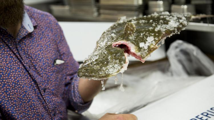 Chef Michael Cimarusti holds up a California halibut newly delivered to his restaurant by Dock to Dish. The Associated Press photo