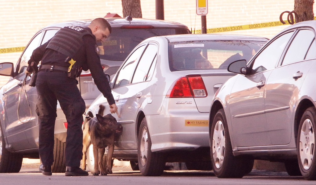 A Portland police officer leads a dog around cars parked outside of 100 Middle Street in Portland on Monday,  during a suspicious package investigation.
Gregory Rec/Staff Photographer