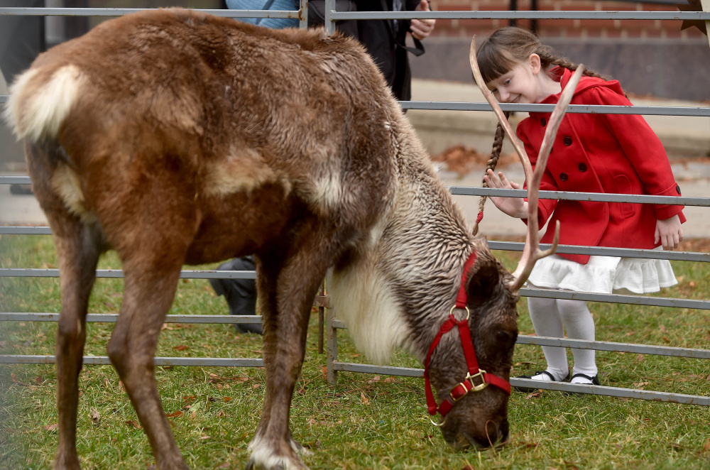Kelly Noe, 7, of Norridgewock, greets reindeer on display Saturday at Castonguay Square during the Downtown Waterville Open House.