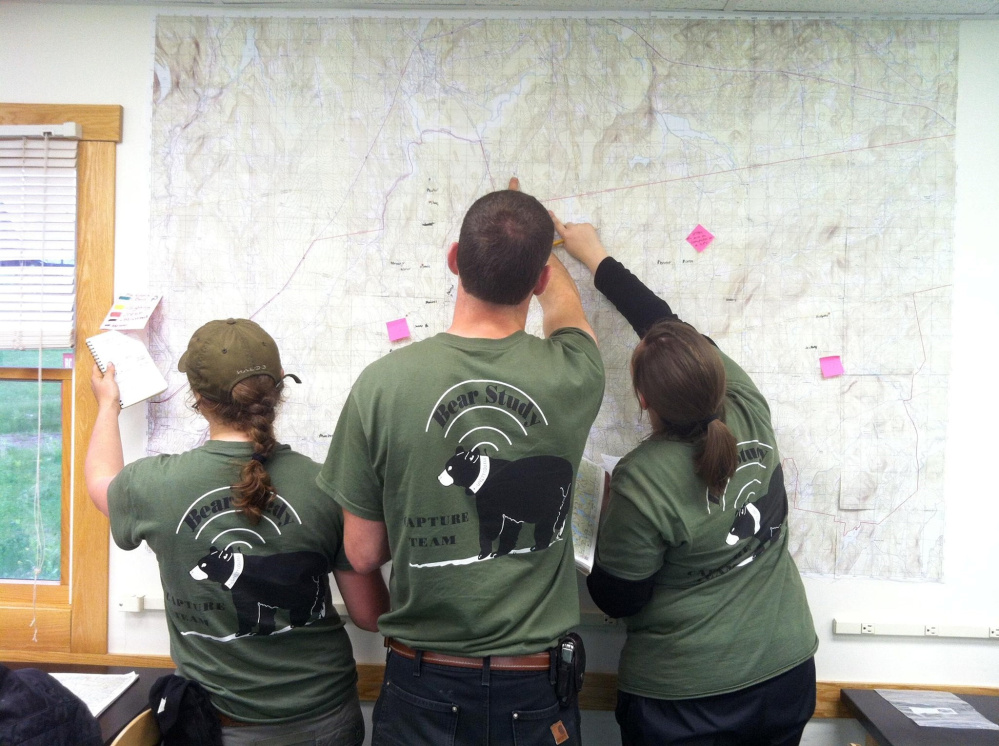 Unity College Bear Study team members review data points on a map in 2013.