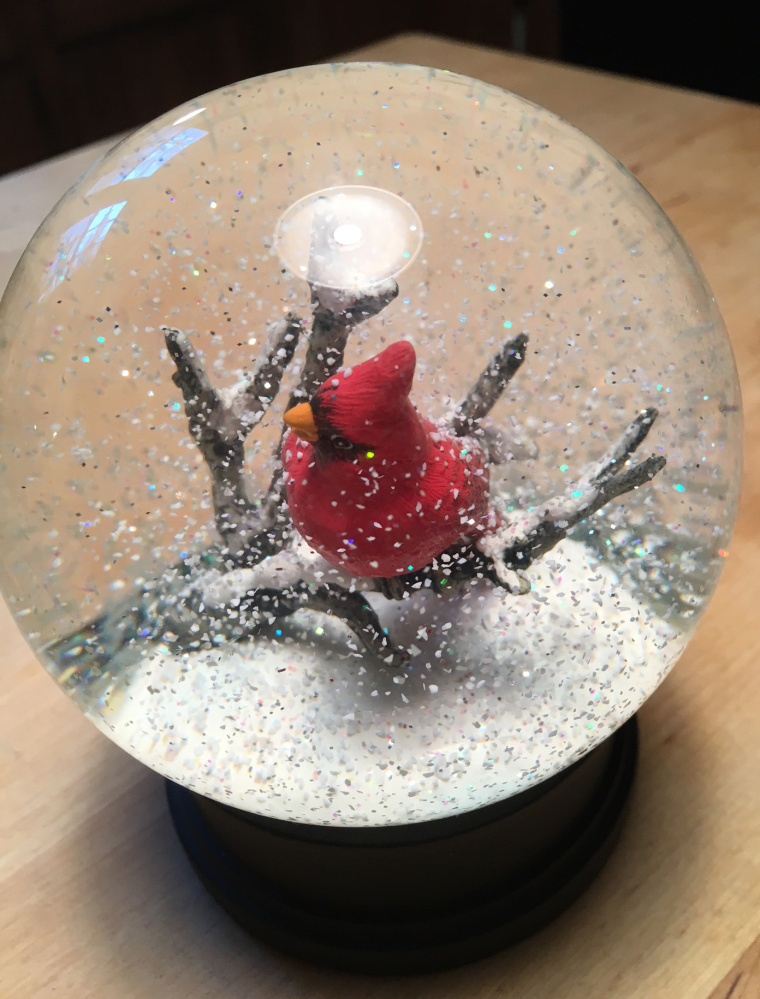 J.P. Devine’s cardinal snow globe is the latest in an obsession that goes back to childhood.