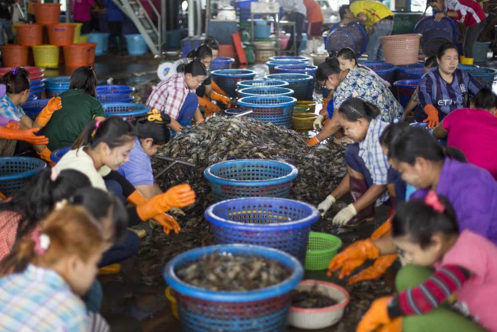 The most popular seafood in the United States, shrimp often is imported from Thailand where The Associated Press found workers treated as virtual slaves, earning low pay for long hours and living in deplorable conditions.