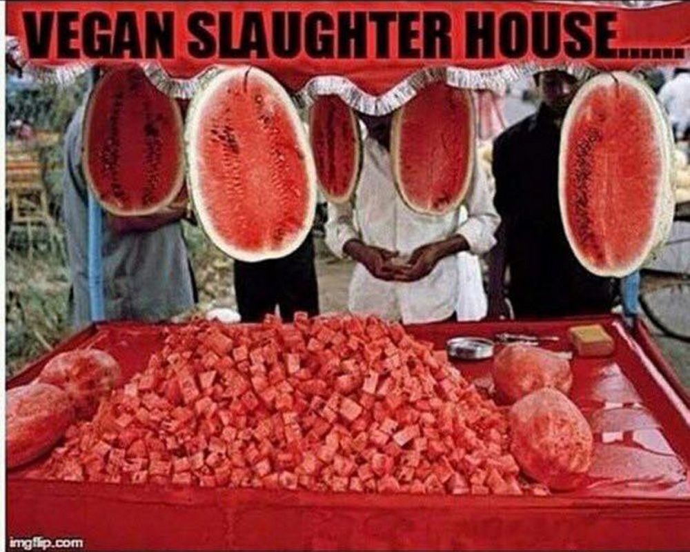 A meme shared on the Vegan Humor Facebook page of a “slaughterhouse” in an all-veg world.