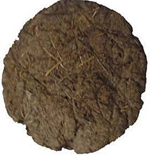 Amazon's retail website for India, called Junglee.com., displays this photo of an 8-inch dung patty that sells for 199 rupees – about $3 – per dozen. Customers rate the product 3.7 out of 5 stars although many reviews are facetious. 
