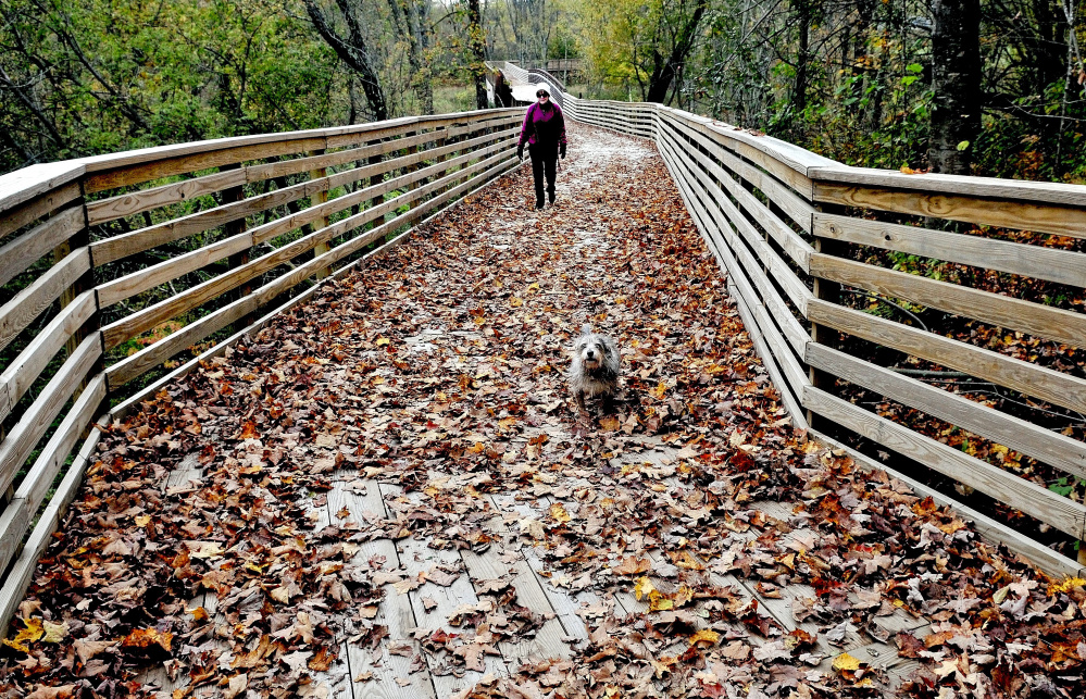 Keeper the dog charges across the leaf-covered walking bridge over Sandy Stream in Unity last year as Michele Leavitt, wife of Stephen Mulkey, president of Unity College at the time, used the popular trail that connects the campus and downtown Unity. Recreational trails building is one of the uses targeted for tax increment financing money in town.