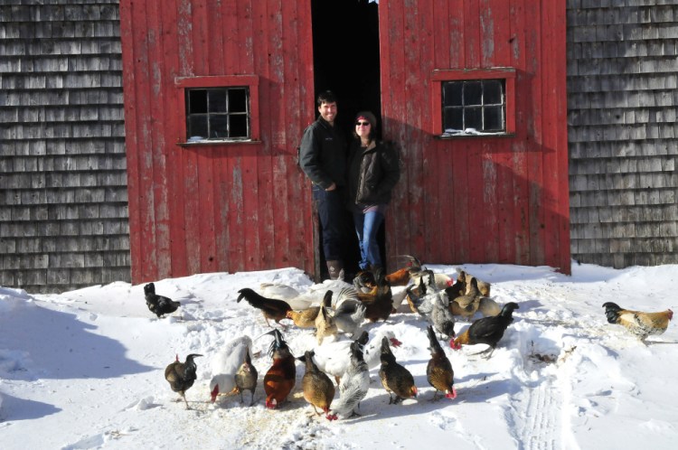 Andrew and Ann Mefferd grow and market organic vegetables and raise their own chickens at their One Drop Farm in Cornville. They have also just bought the national magazine “Growing for Market,” which they are producing out of their farmhouse.