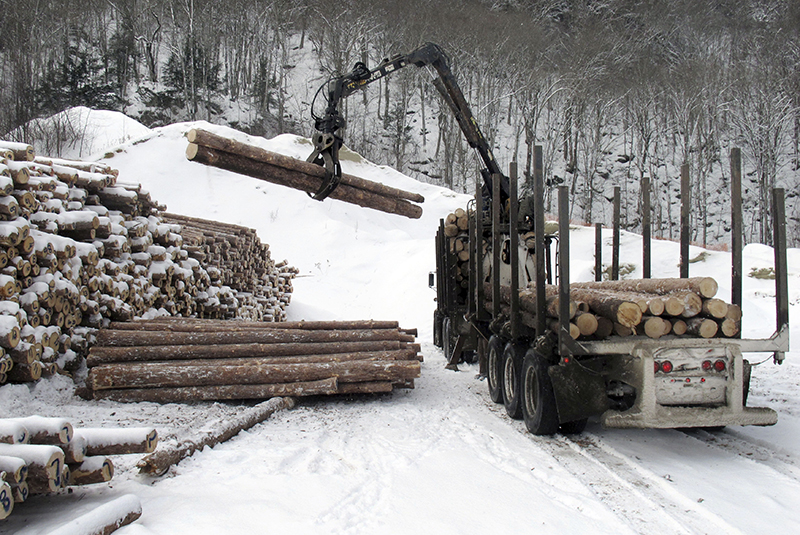 Logs destined for a mill are unloaded on Jan. 20 at a wood yard in Vermont.