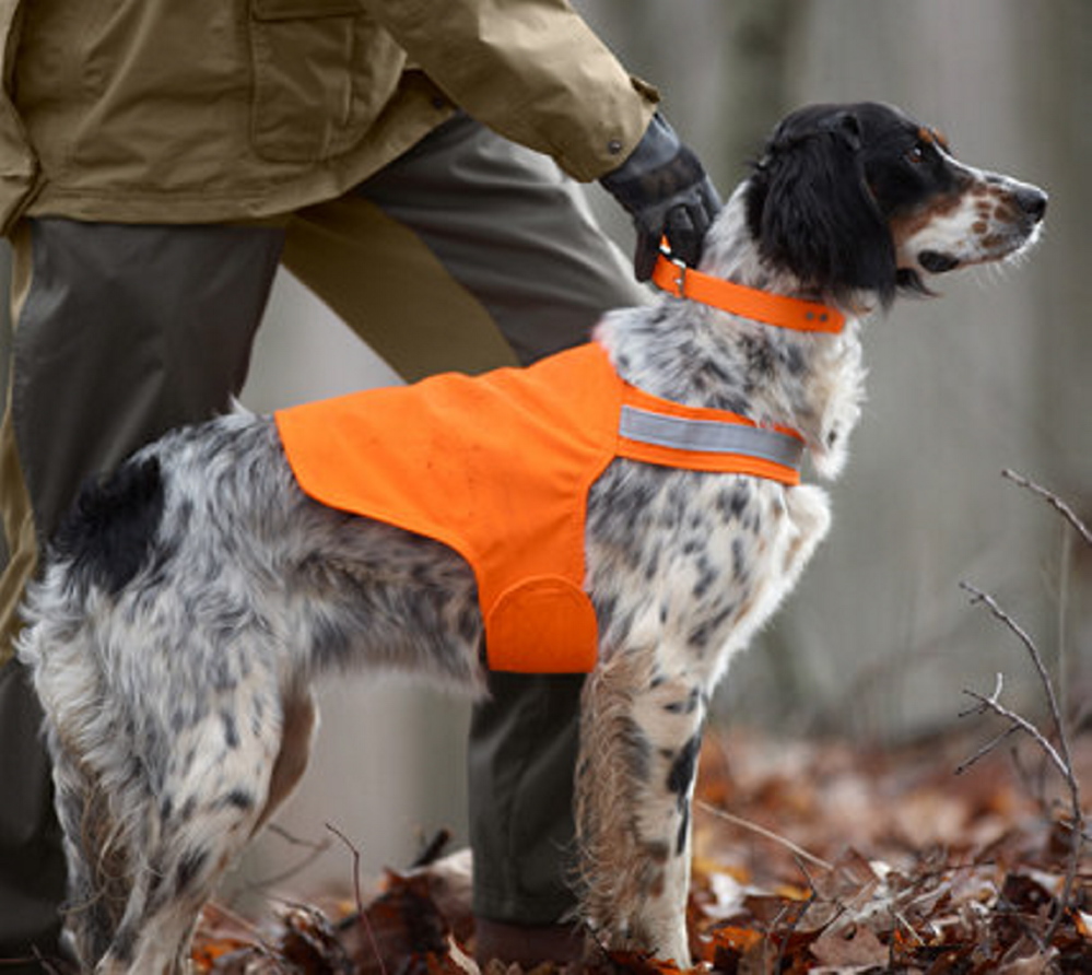 Tick Repelling Safety Dog Vests made by Dog Not Gone Visibility Vests in Skowhegan will be sold on a test basis at Walmart beginning next month.