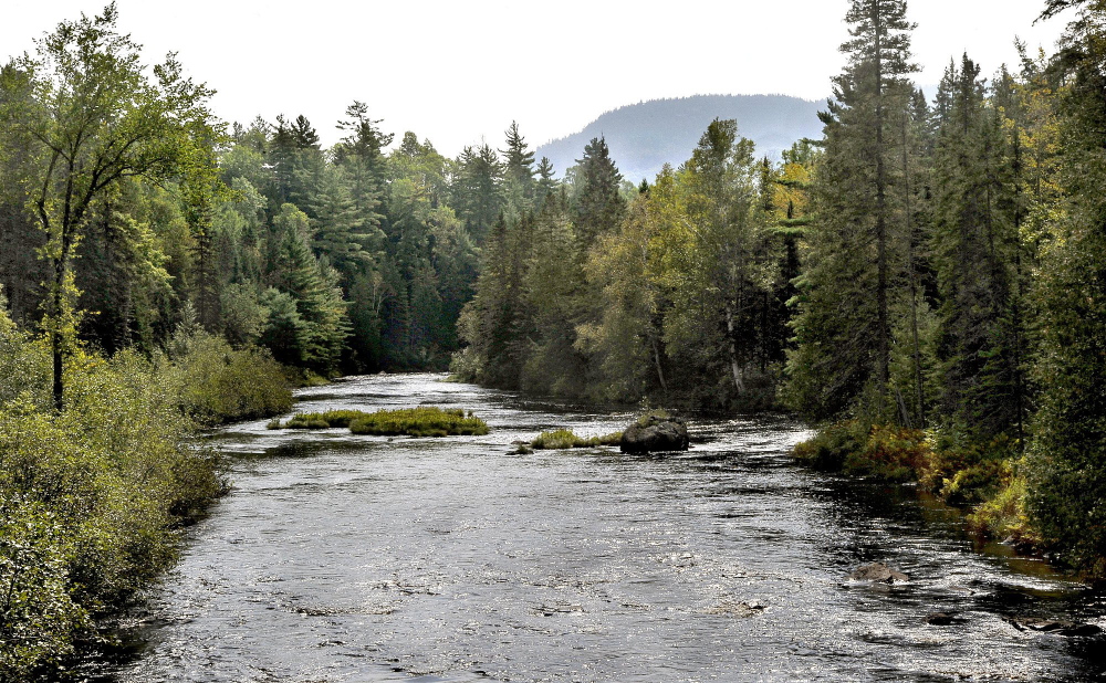 A view of the Seboeis River, which runs into land owned by Elliotsville Plantation, Inc. This could be preserved for the enjoyment of future generations, if Maine officials will cooperate with the federal government.