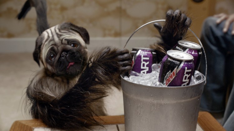 The “Puppymonkeybaby” appears in a scene from Kickstart’s ad spot for Super Bowl 50.