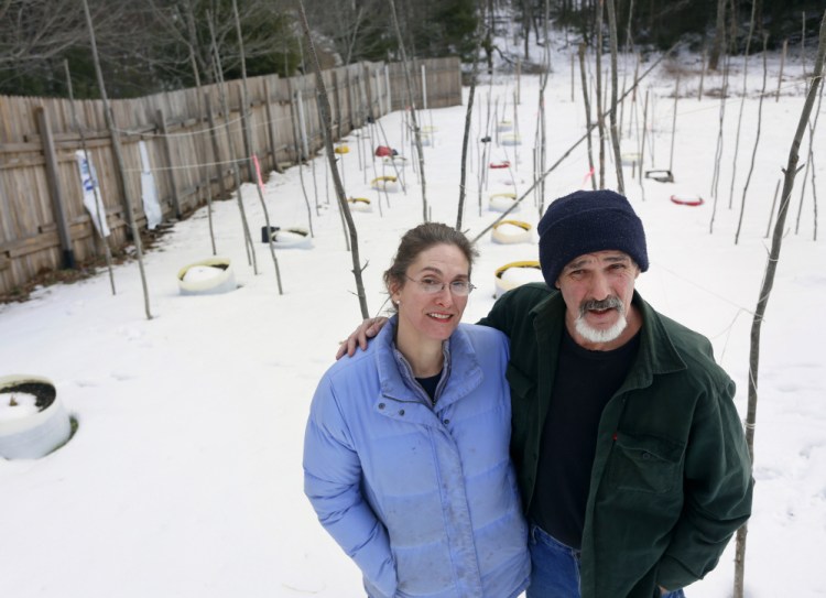 Randy and Margot Hayes, medical marijuana patients in Montville, are charged with drug trafficking and illegal marijuana cultivation.