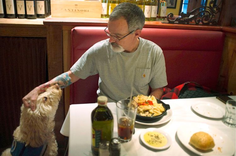 Sean McDonough eats lunch at the Macaroni Grill in South Portland recently with his service dog Bruno at his side. McDonough suffered brain injuries in a car crash in 2008 and depends on Bruno to keep him calm in public settings. Tom Bell/The Associated Press)