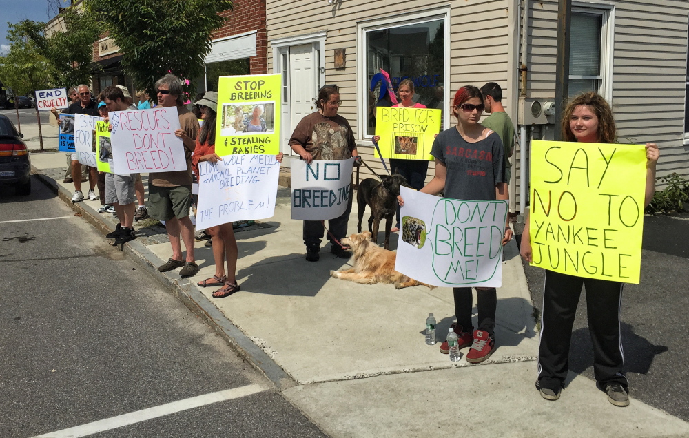 A demonstration Saturday outside the offices of a South Portland video production company targets “Yankee Jungle,” an Animal Planet channel TV series about the DEW Haven animal sanctuary in Mount Vernon. Article in Mother Jones says Animal Planet scrapped the show after the magazine uncovered evidence of animal welfare violations.