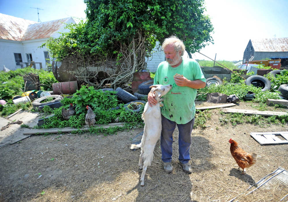 Mark Gould eats a peanut butter sandwich as one of his goats looks for a bite outside his Norman Road farm in Sidney on in July 2014. Gould has a history of escaping animals and related charges, and has been charged again several times