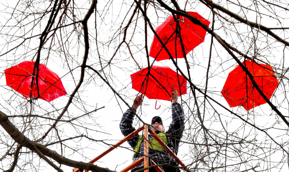 Chris Demerchant, of the Waterville Public Works Department, attaches umbrellas to a tree Wednesday in Castonguay Square in Waterville. The umbrellas are part of a celebration of the visual and performing arts in the city.