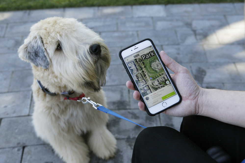 Russell Gipson Shearer displays on his phone how the Whistle pet tracker follows his dog Rocket in San Francisco. Technology isn’t just for humans. It’s also for their furry friends. In Silicon Valley and beyond, a growing number of “pet-tech” startups are selling devices to keep pets safe, healthy, entertained and connected when their owners are away.